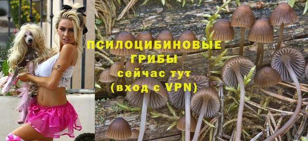 скорость Алексин