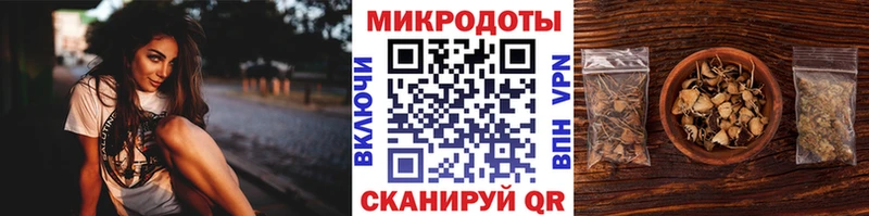 KRAKEN вход  что такое наркотик  Козловка  Галлюциногенные грибы MAGIC MUSHROOMS 